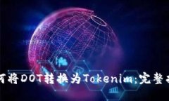 如何将DOT转换为Tokenim：完