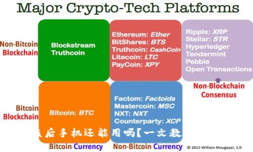 Tokenim钱包被盗后手机还能用吗？一文教你如何处理和保护资产