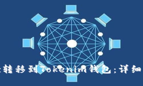 如何将Bitz转移到Tokenim钱包：详细步骤与说明