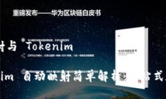 ## 自动映射与 Tokenim### Tokenim 自动映射简单解析：