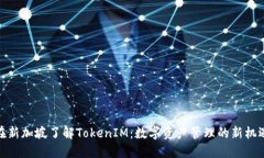 在新加坡了解TokenIM：数字