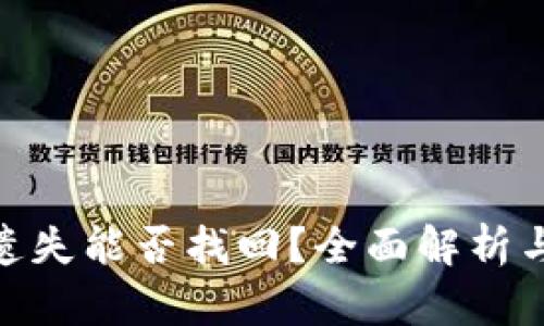 TokenIM遗失能否找回？全面解析与解决方案