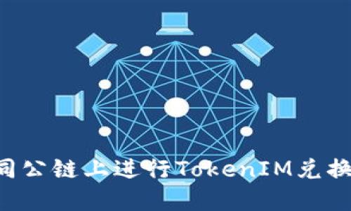 如何在不同公链上进行TokenIM兑换：全面指南