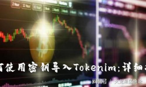 如何使用密钥导入Tokenim：详细指南