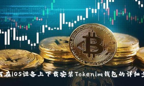 如何在iOS设备上下载安装Tokenim钱包的详细步骤