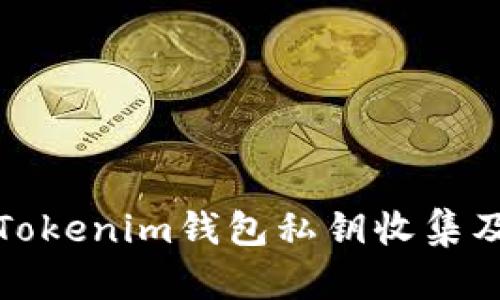 全面了解Tokenim钱包私钥收集及其安全性