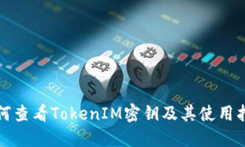 如何查看TokenIM密钥及其使用指南