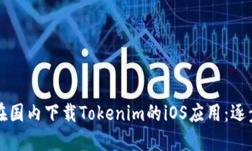 如何在国内下载Tokenim的iOS应用：逐步指南