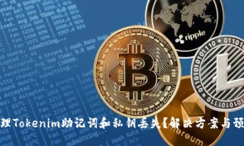 如何处理Tokenim助记词和私钥丢失？解决方案与预防措施