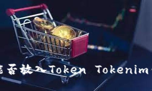 FIL能否放入Token Tokenim钱包？