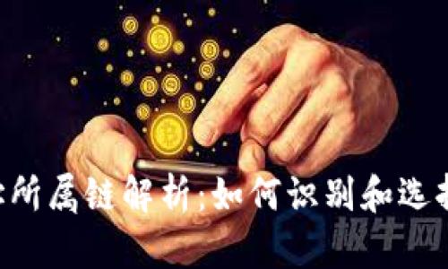 Tokenim地址所属链解析：如何识别和选择最佳区块链