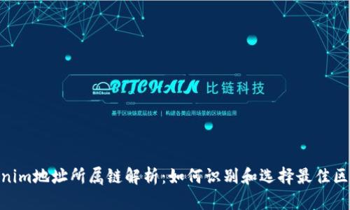 Tokenim地址所属链解析：如何识别和选择最佳区块链