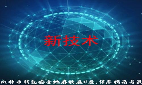 
如何将比特币钱包安全地存放在U盘：详尽指南与最佳实践