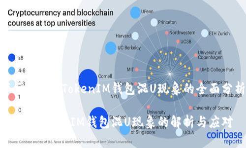 关于TokenTokenIM钱包混U现象的全面分析

TokenTokenIM钱包混U现象的解析与应对