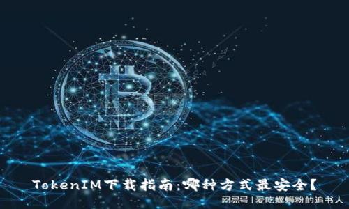 TokenIM下载指南：哪种方式最安全？