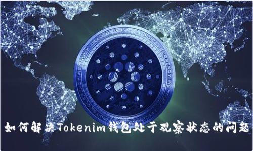 如何解决Tokenim钱包处于观察状态的问题