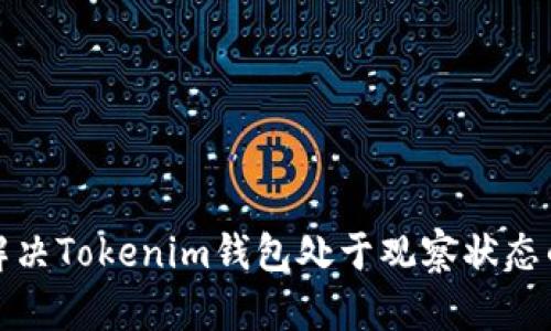 如何解决Tokenim钱包处于观察状态的问题