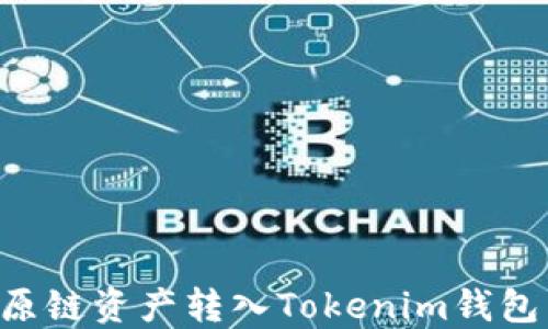 
如何将比原链资产转入Tokenim钱包：详细指南