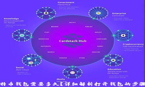 
打开比特币钱包需要多久？详细解析打开钱包的步骤与时间