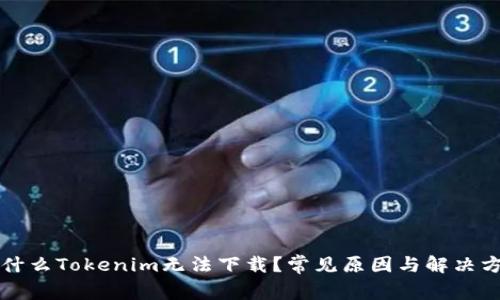 为什么Tokenim无法下载？常见原因与解决方案