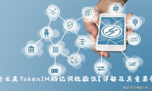 什么是TokenIM助记词效验位？详解及其重要性