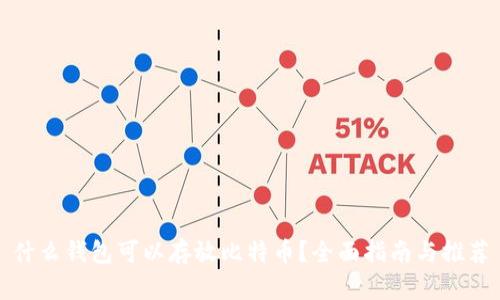 什么钱包可以存放比特币？全面指南与推荐