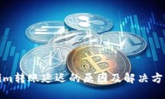 Tokenim转账延迟的原因及解