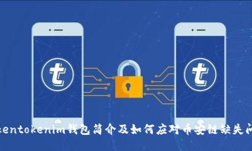 Tokentokenim钱包简介及如何应对币安链缺失问题