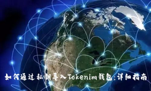 如何通过私钥导入Tokenim钱包：详细指南