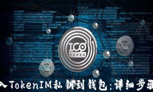 
如何导入TokenIM私钥到钱包：详细步骤与指南