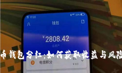 比特币钱包分红：如何获取收益与风险分析