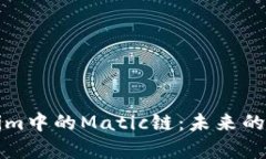 深入解析Tokenim中的Matic链：未来的区块链解决方