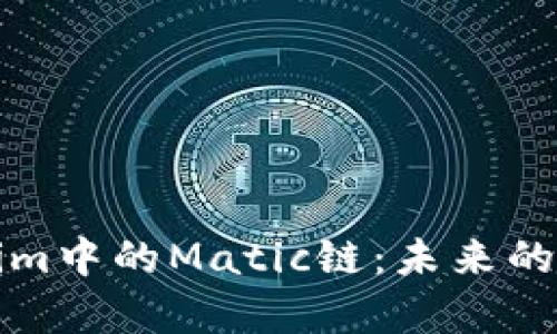 深入解析Tokenim中的Matic链：未来的区块链解决方案