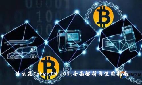 什么是TokenIM iOS：全面解析与使用指南