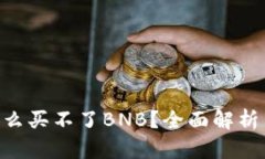 Tokenim怎么买不了BNB？全面解析与解决方案