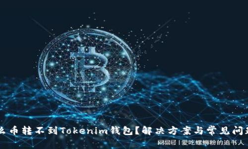 为什么币转不到Tokenim钱包？解决方案与常见问题解析