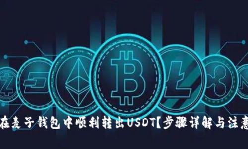 如何在麦子钱包中顺利转出USDT？步骤详解与注意事项