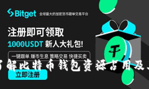 深入了解比特币钱包资源占用及其策略