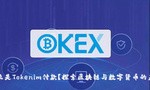 什么是Tokenim付款？探索区块链与数字货币的未来