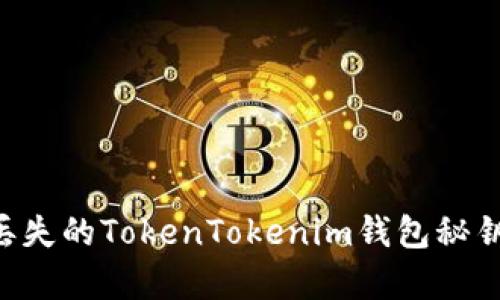 如何恢复丢失的TokenTokenim钱包秘钥：详细指南