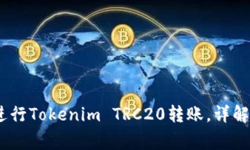 全面解析：如何进行Tokenim TRC20转账，详解流程与注意事项