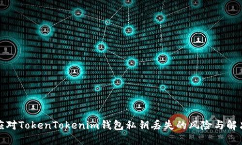 如何应对TokenTokenim钱包私钥丢失的风险与解决方案