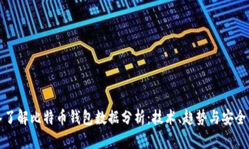 深入了解比特币钱包数据分析：技术、趋势与安全策略