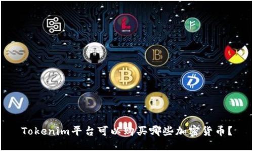 Tokenim平台可以购买哪些加密货币？