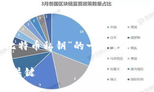 为了满足您的要求，这里是围绕“钱包私钥跟比特币私钥”的一个完整、关键词和内容大纲，以及相关问题的详细介绍。

钱包私钥与比特币私钥：理解加密货币安全的关键