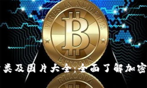 比特币钱包分类及图片大全：全面了解加密货币存储方式