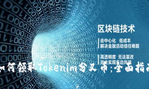 如何领取Tokenim分叉币：全面指南