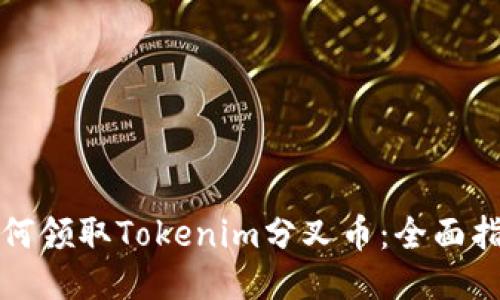 如何领取Tokenim分叉币：全面指南