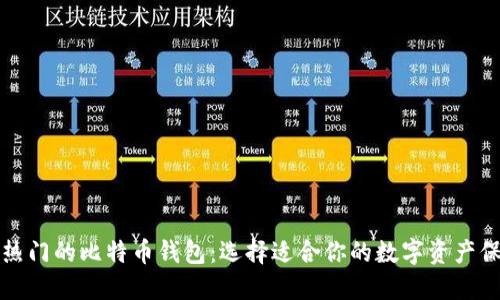 全球最热门的比特币钱包：选择适合你的数字资产保管方案