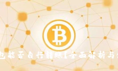 USDT钱包能否自行转账？全面解析与使用指南